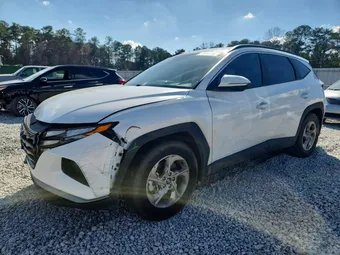2023 Hyundai Tucson 5NMJB3AE3PH193300 Lot 79803195