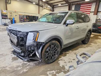 2021 Kia Telluride 5XYP3DHC0MG137550 Lot 41606266