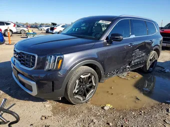 2025 Kia Telluride 5XYP64GC8SG718395 Lot 75829005