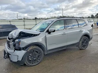2025 Kia Telluride 5XYP3DGC1SG695521 Lot 45657666