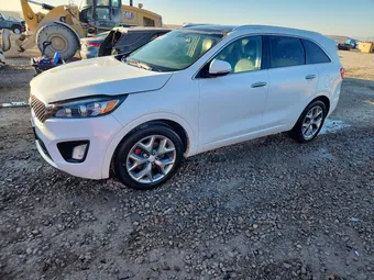 2017 Kia Sorento 5XYPK4A50HG194299 Lot 74873725