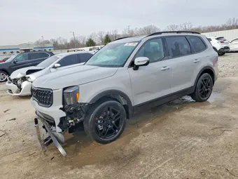 2025 Kia Telluride 5XYP3DGC7SG726593 Lot 78271205