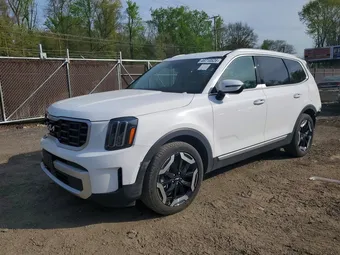 2025 Kia Telluride 5XYP6DGC3SG586095 Lot 49710526