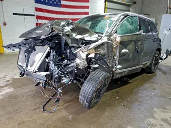 2025 Kia Telluride 5XYP3DGC0SG663045 Lot 94535705