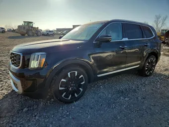 2023 Kia Telluride 5XYP5DGC3PG374517 Lot 79703105