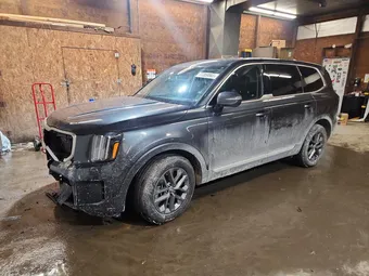2023 Kia Telluride 5XYP2DGC1PG327057 Lot 77359865