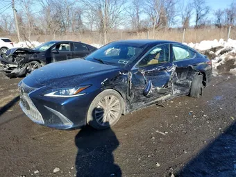 2021 Lexus ES 250 58AD11D14MU001761 Lot 76866975