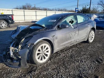 2023 Tesla Model 3 5YJ3E1EB8PF392333 Lot 76361285