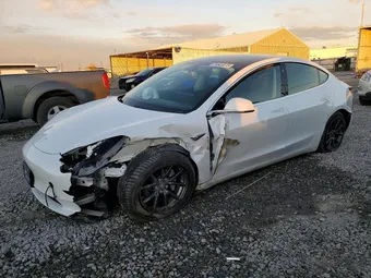 2019 Tesla Model 3 5YJ3E1EB8KF510647 Lot 74923075