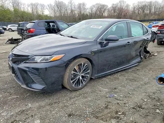 2020 Toyota Camry 4T1J31AK8LU530534 Lot 46525896