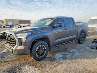 2025 Toyota Tundra 5TFLA5DBXSX253419 Lot 73302945