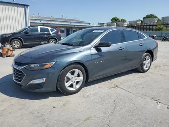 2019 Chevrolet Malibu 1G1ZB5ST8KF227998 Lot 80502225