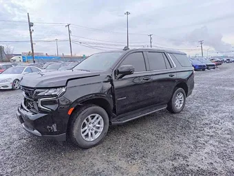 2023 Chevrolet Tahoe 1GNSKNKD6PR261016 Lot 49294886