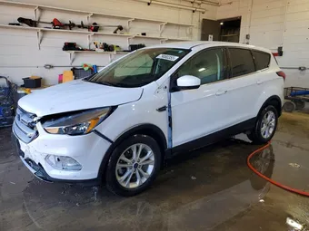 2019 Ford Escape 1FMCU0GD8KUC50121 Lot 79080355