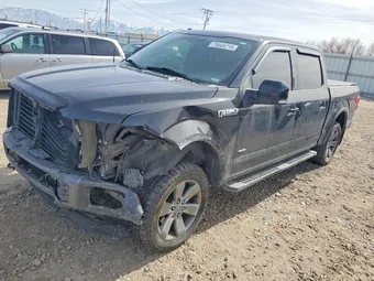 2015 Ford F-150 1FTEW1EG6FFB27163 Lot 78504715