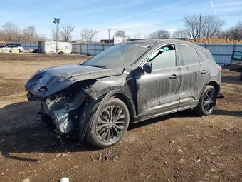 2025 Ford Escape 1FMCU9PA3SUA29987 Lot 79354935