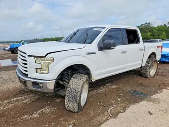 2015 Ford F-150 1FTEW1EF2FFB19701 Lot 48321486