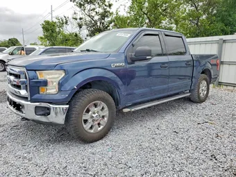 2016 Ford F-150 1FTEW1EF5GFB81966 Lot 49107606