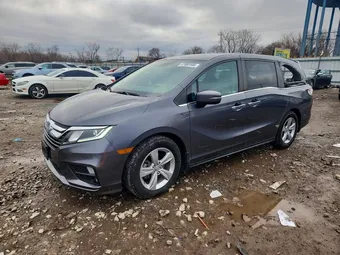 2019 Honda Odyssey 5FNRL6H59KB102967 Lot 47882446