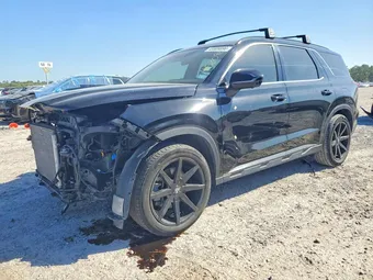 2025 Hyundai Palisade KM8R34GE4SU837168 Lot 45809896
