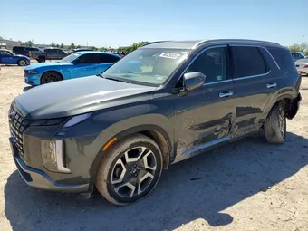 2025 Hyundai Palisade KM8R44GE1SU848268 Lot 46529326