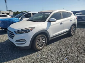 2017 Hyundai Tucson KM8J33A49HU339399 Lot 50328716