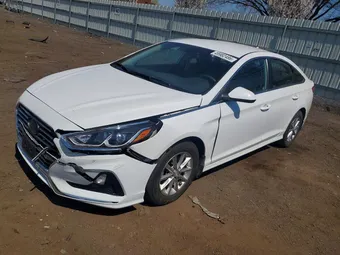 2018 Hyundai Sonata 5NPE24AF2JH696195 Lot 49982486