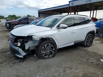 2025 Hyundai Tucson KM8JEDD18SU294626 Lot 48900486