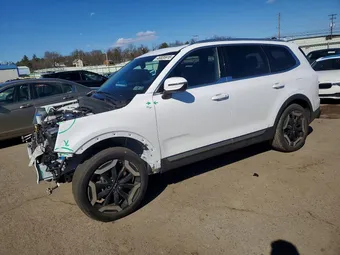 2023 Kia Telluride 5XYP3DGC5PG355098 Lot 46835916