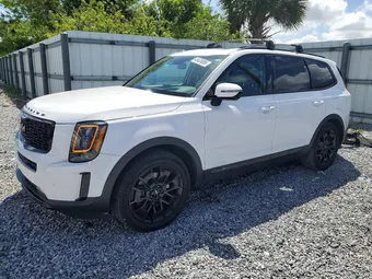 2022 Kia Telluride 5XYP5DHC3NG196636 Lot 48428086