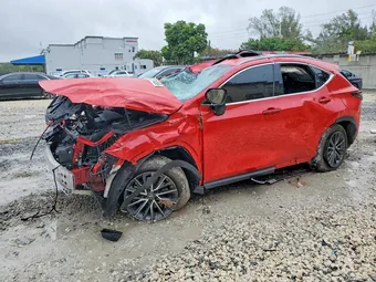 2024 Lexus NX 250 2T2GDCAZ8RC014437 Lot 41627406