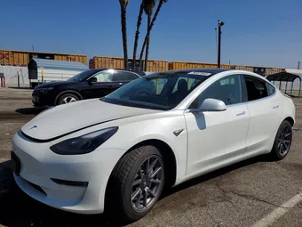2020 Tesla Model 3 5YJ3E1EB9LF666150 Lot 79587365