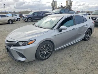 2019 Toyota Camry 4T1B11HK1KU825909 Lot 48171216