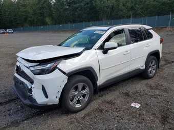 2024 Toyota RAV4 JTMRWRFV8RD270077 Lot 50149696