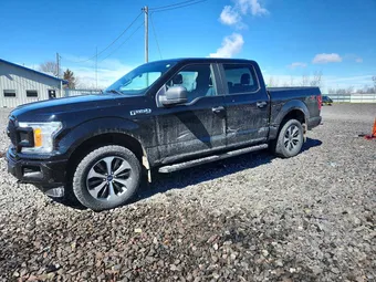 2019 Ford F-150 1FTEW1EP8KKC12426 Lot 45775506