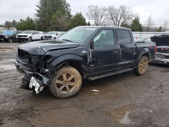 2015 Ford F-150 1FTEW1EG4FFC54929 Lot 46154096