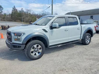 2017 Ford F-150 1FTFW1RG8HFB30115 Lot 48084786