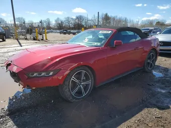 2024 Ford Mustang 1FAGP8UH1R5134577 Lot 45637326