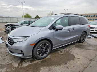 2022 Honda Odyssey 5FNRL6H98NB024561 Lot 48161066