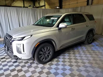 2025 Hyundai Palisade KM8R2DGE6SU920801 Lot 49681346
