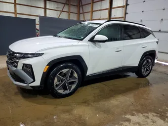 2025 Hyundai Tucson 5NMJB3DE8SH491667 Lot 51401846