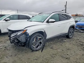 2023 Hyundai Tucson KM8JFCA1XPU091563 Lot 45651686