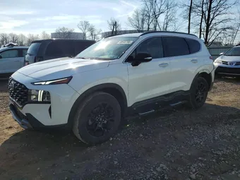 2023 Hyundai Santa Fe 5NMS6DAJ4PH514014 Lot 48846796