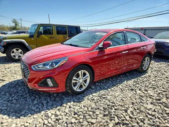 2019 Hyundai Sonata 5NPE34AF8KH787891 Lot 49398096