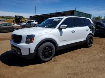 2024 Kia Telluride 5XYP5DGC5RG452623 Lot 50639846