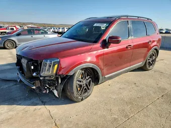 2023 Kia Telluride 5XYP3DGC0PG338256 Lot 93100985