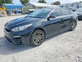 2019 Kia Forte 3KPF54AD1KE055507 Lot 46583096