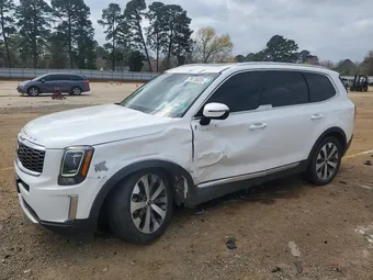2020 Kia Telluride 5XYP3DHCXLG056084 Lot 79176925