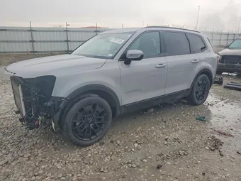 2022 Kia Telluride 5XYP5DHC9NG229364 Lot 79813135
