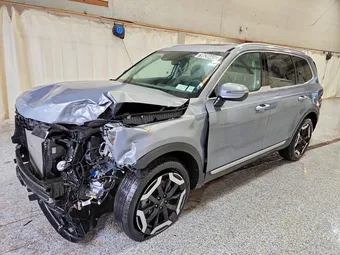 2025 Kia Telluride 5XYP6DGC3SG643475 Lot 79620445